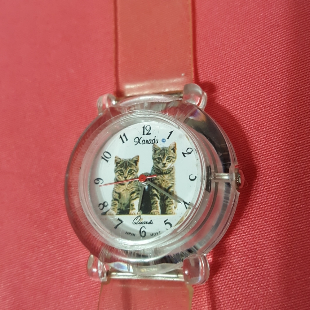 Tabby twins watch